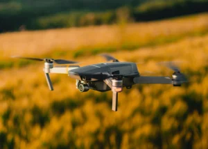 flying a drone in a wheat field